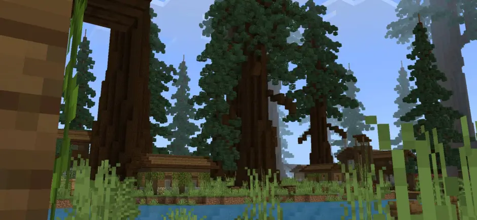 Лес из огромных деревьев