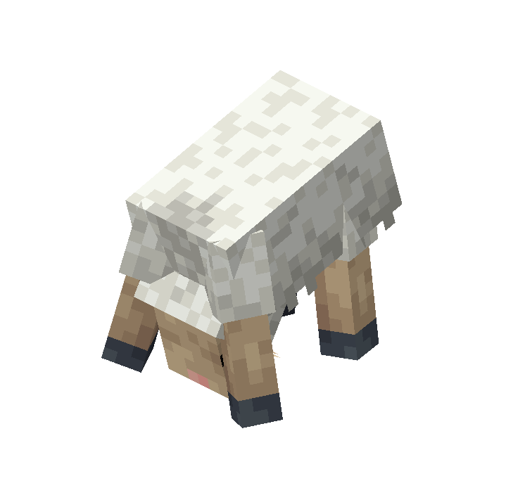 Новая анимация овцы