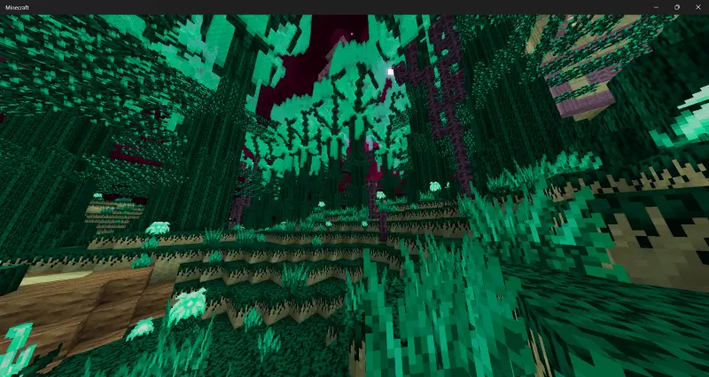 Искажённый лес