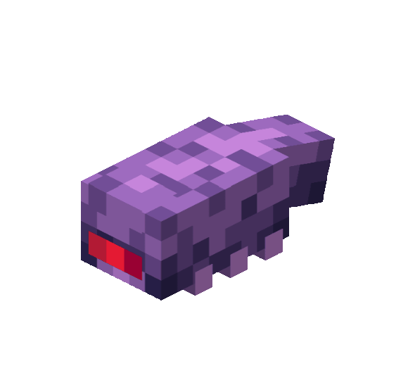 Новый вид чешуйницы и эндермита