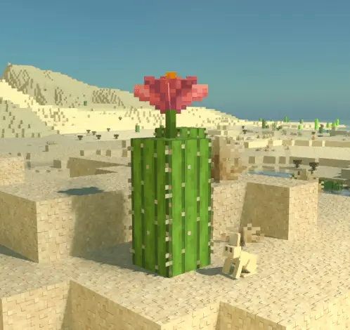 Измененный вид кактуса и блоков песка