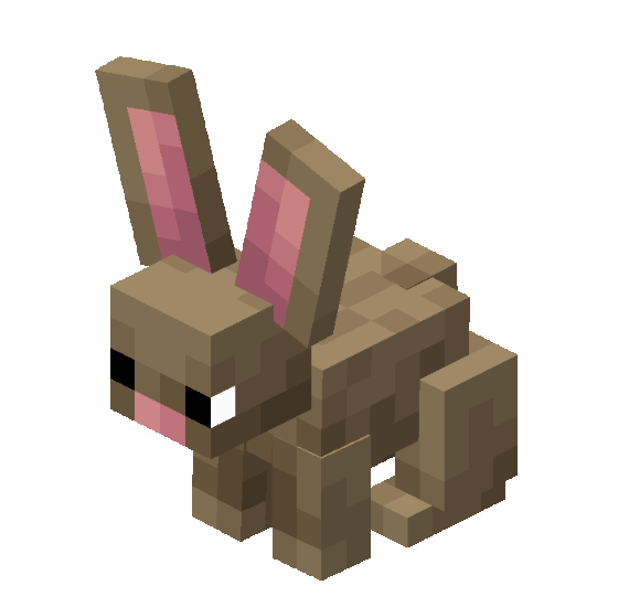 Все новые виды кроликов