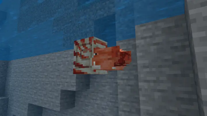 Вид Наутилуса под водой