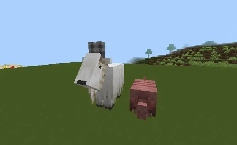 Козёл-блок и броненосец-блок