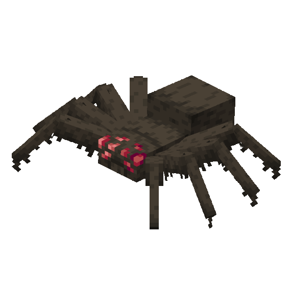 Все новые виды пауков