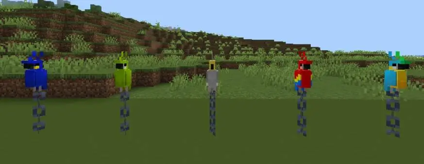 Попугаи-блоки