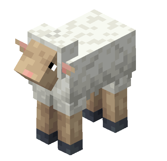 Все новые виды овец