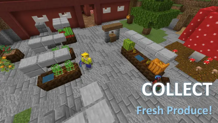 Небольшой задний двор с растущими продуктами