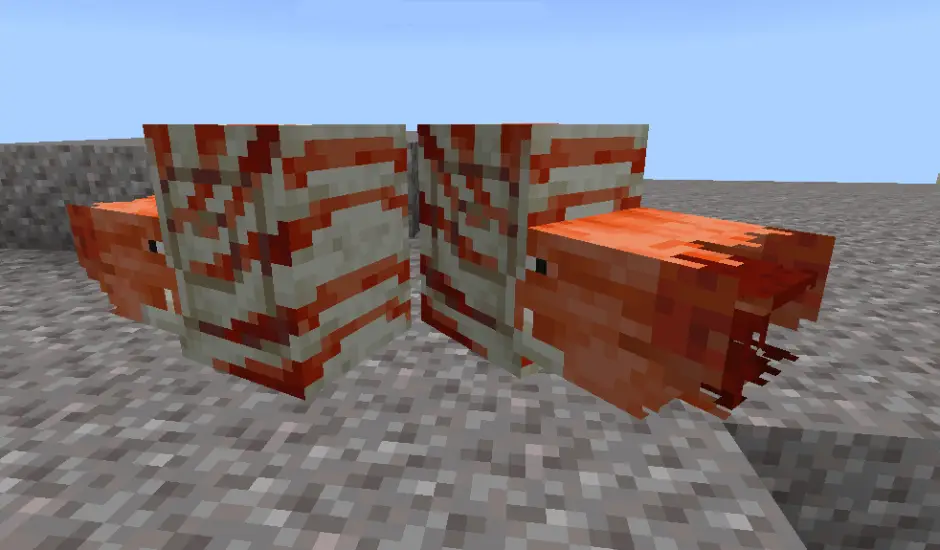 Вид Наутилуса на суше