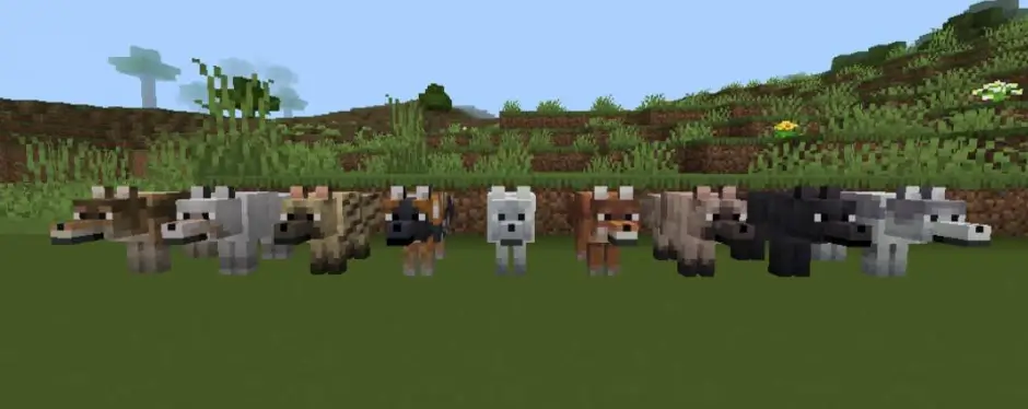 Волки-блоки