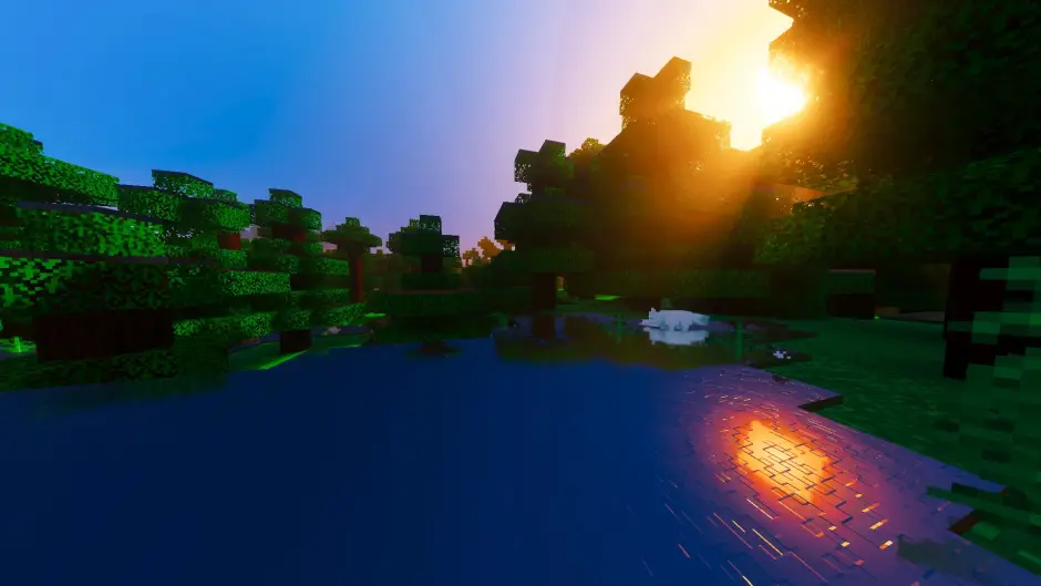 Новый вид освещения в лесу вечером