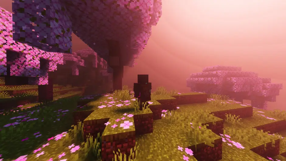 Новый вид освещения в вишнёвом лесу вечером