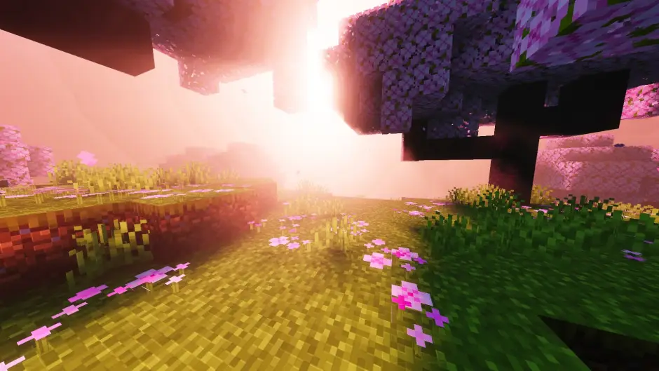 Новый вид освещения в вишнёвом лесу