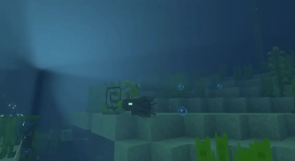 Зомби-наутилус в океане