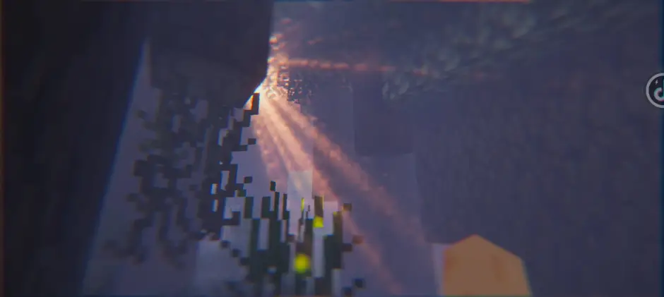 Новый вид освещения в бледном лесу