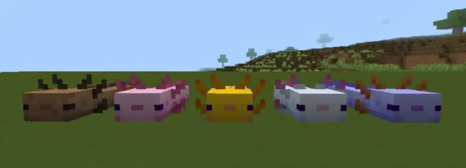 Аксолотли-блоки