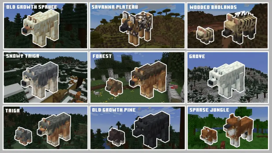 Все разновидности новых волков