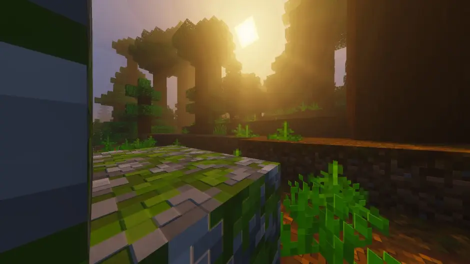 Новый вид освещения в тайге