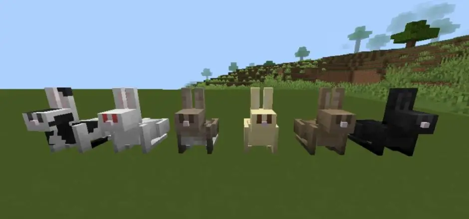 Кролики-блоки