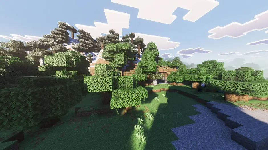 Множество качественных теней от деревьев в лесу