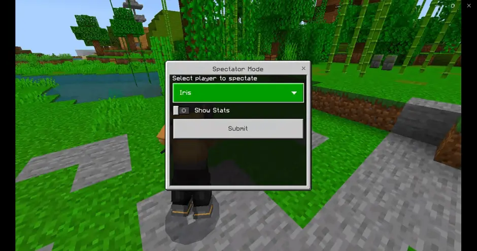 Включение режима наблюдателя