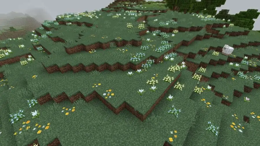 Поляна цветов