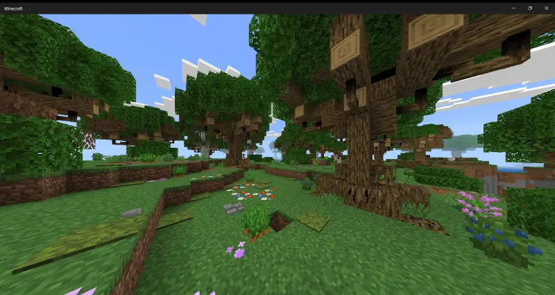 Новый вид дубового леса