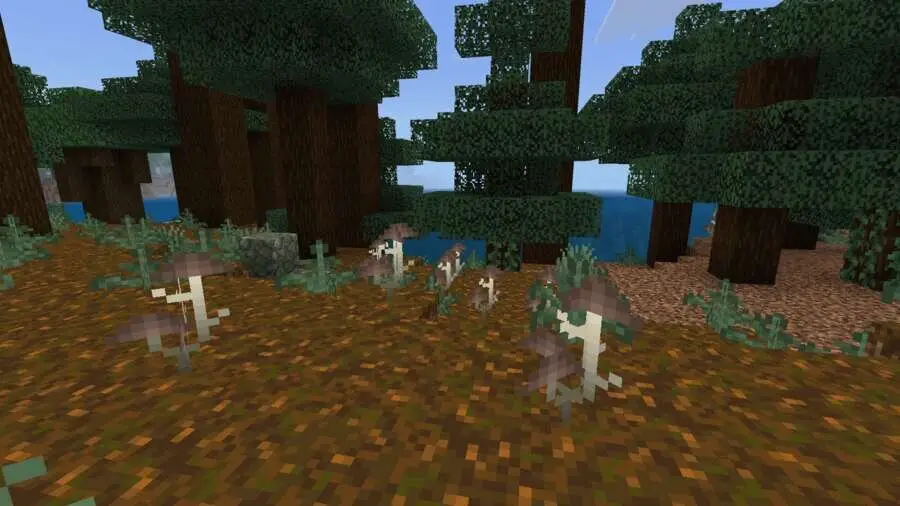 Измененные текстуры грибов