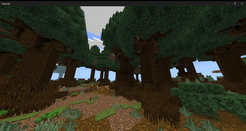 Новый вид биома тайги