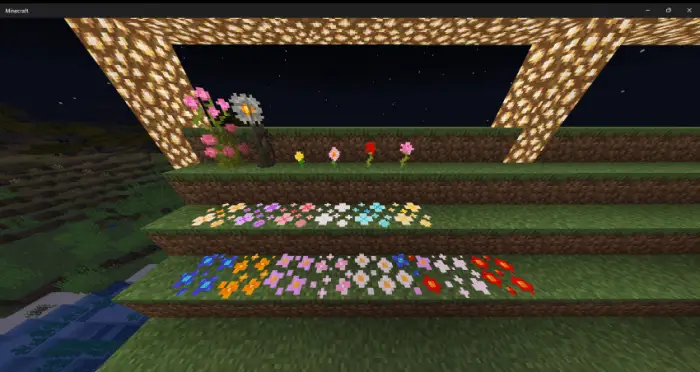 Новые цветы