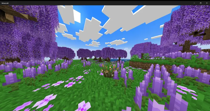 Лавандовый лес