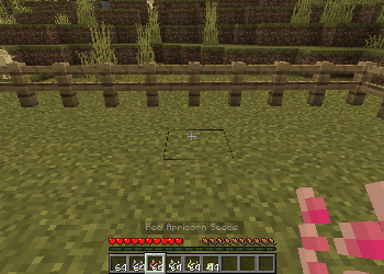 Выращивание априкорнового дерева