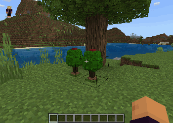 Деревья с априкорнами