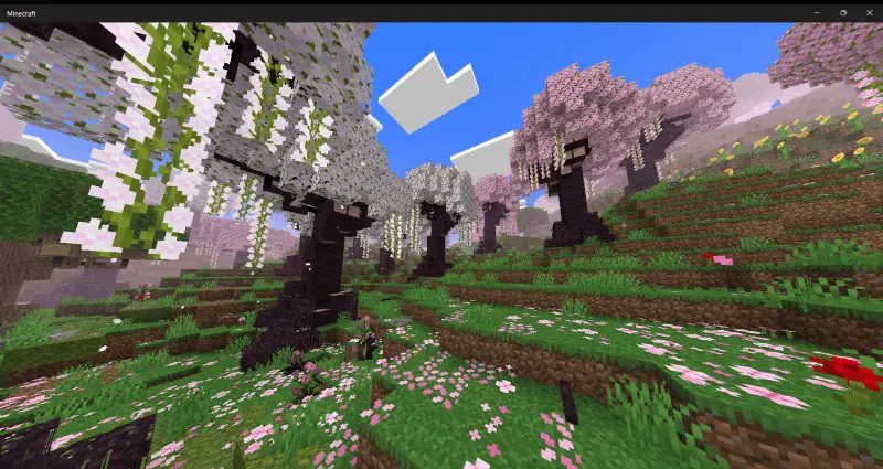 Новый вид биома вишни