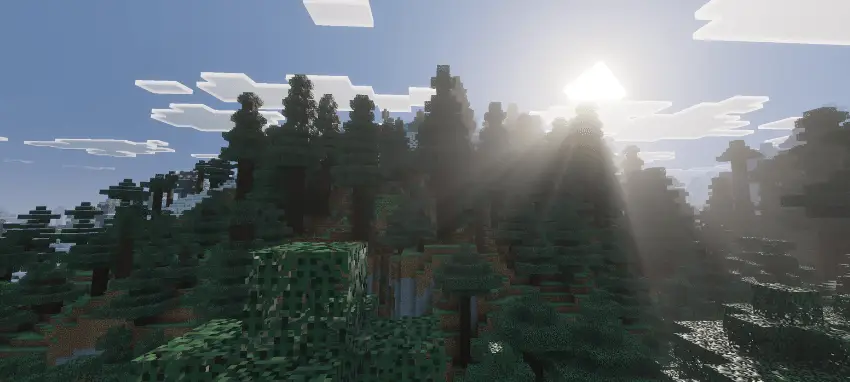 Яркие лучи пробиваются через кроны сосен