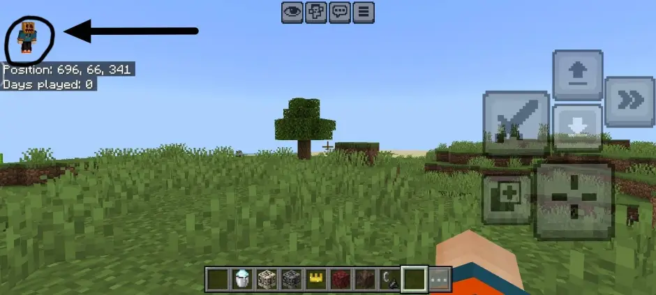 Мини персонаж в верхнем левом углу