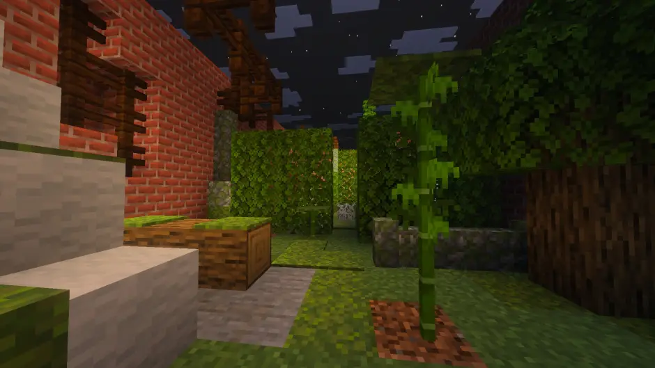 Вид на арену