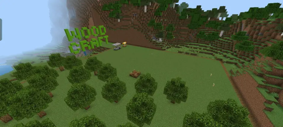 Общий вид территории