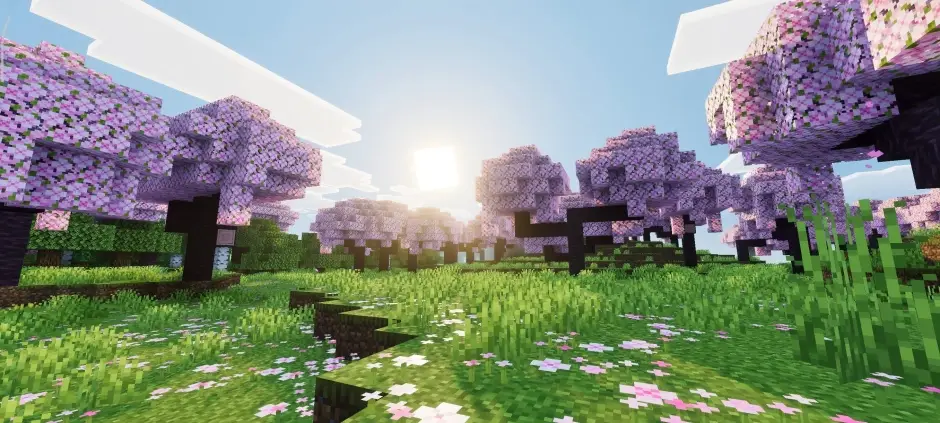 Рассвет над вишневыми лесом