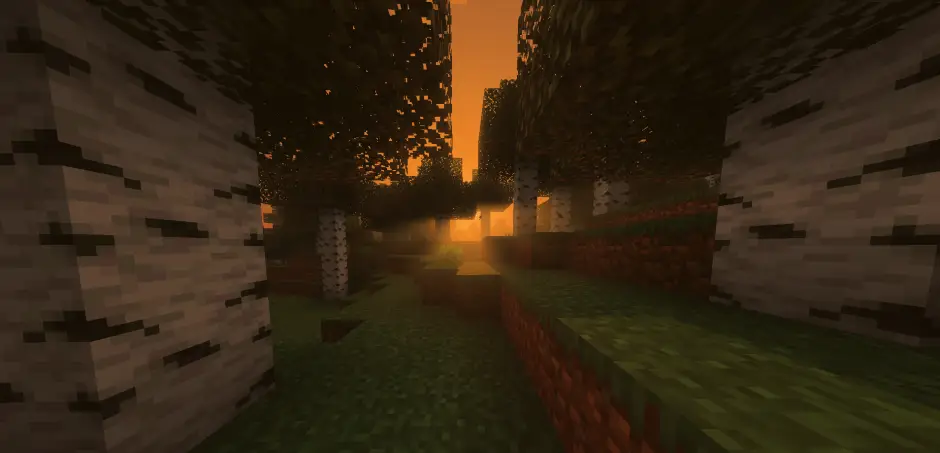 Яркие лучи в березовом лесу