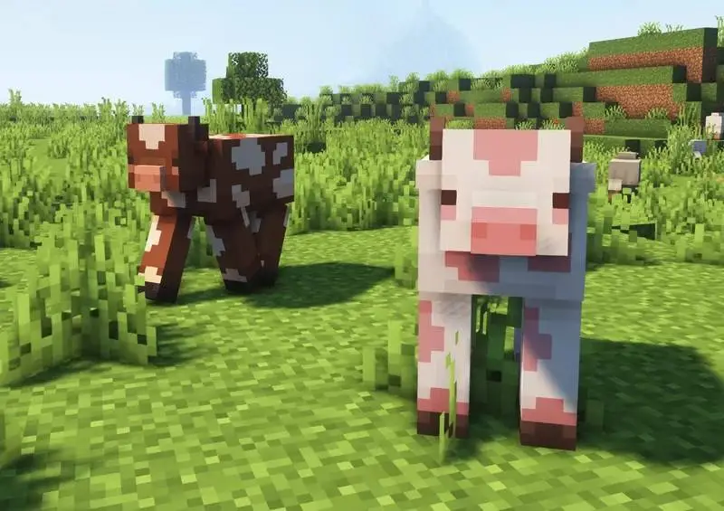 Новый вид коров