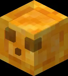 Скин для слайма