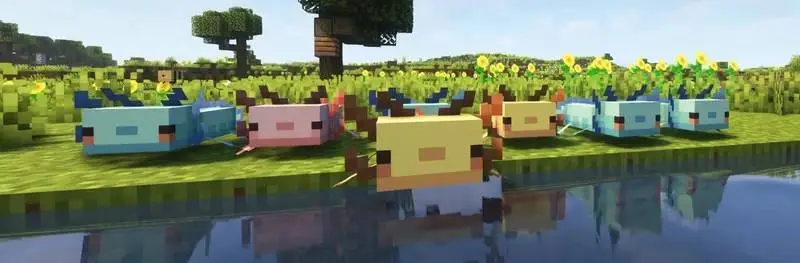 Новый вид аксолотлей