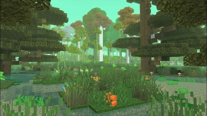 Трава и другая растительность