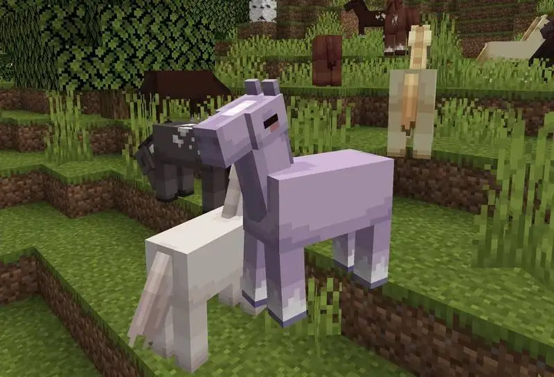 Новый вид лошадей