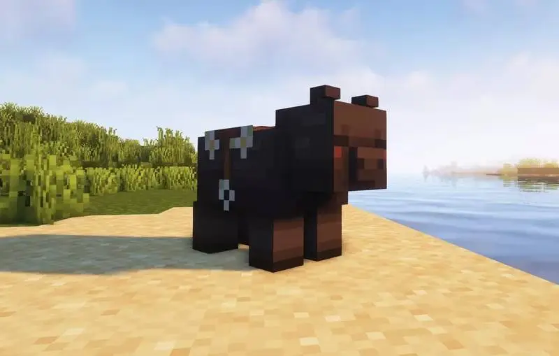 Новый вид свиньи