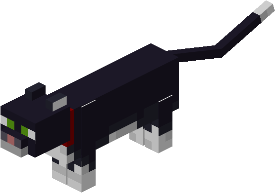 Новый вид повреждения у прирученной кошки