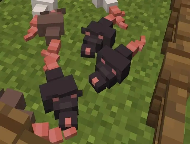 Новый вид чешуйниц