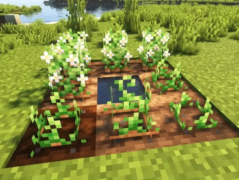 Новый вид растительности