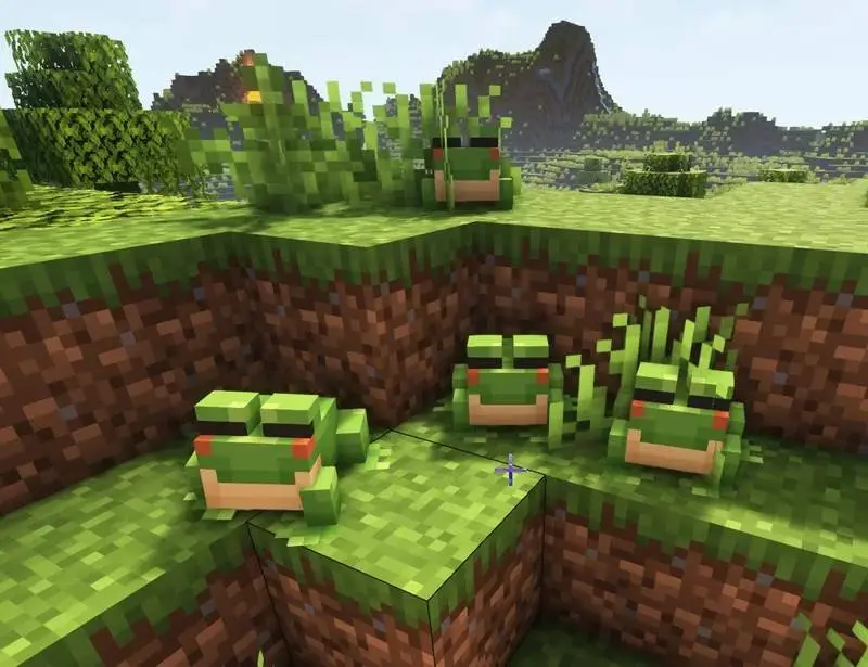 Новый вид зелёных лягушек